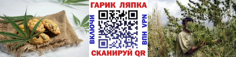 МЕГА как зайти  Лесной  Печенье с ТГК марихуана 