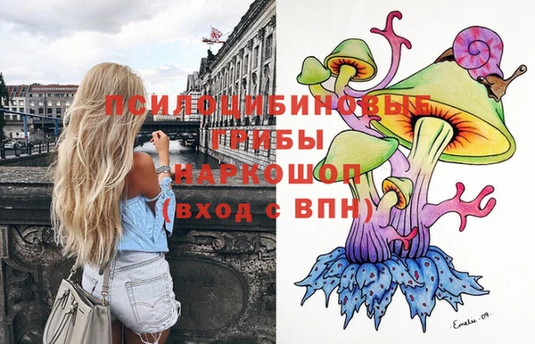 МДПВ Армянск