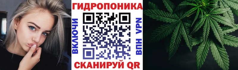 наркота  Лесной  МАРИХУАНА ГИДРОПОН 